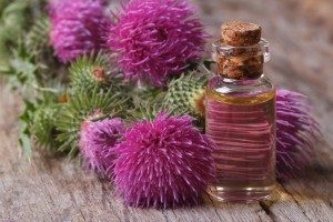 Klettenwurzelöl für die Gesundheit